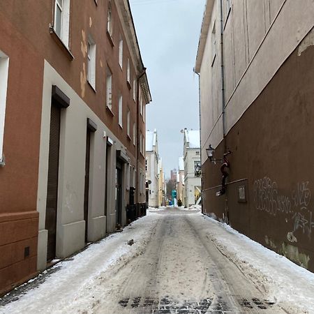 Studio Apartment Old Town クライペダ エクステリア 写真