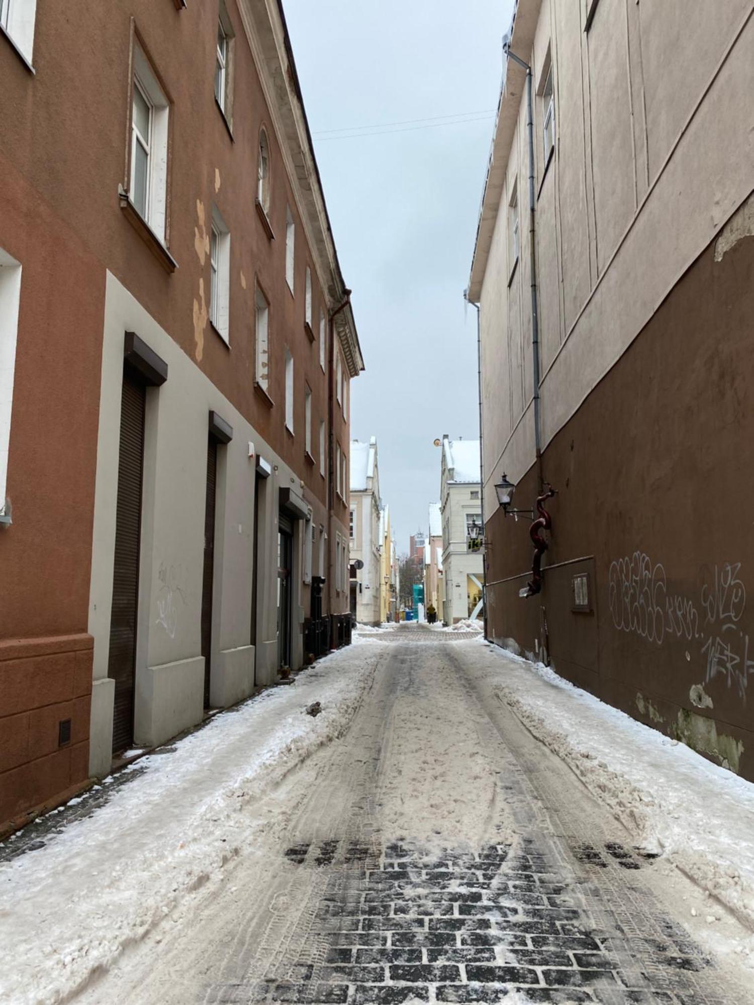 Studio Apartment Old Town クライペダ エクステリア 写真
